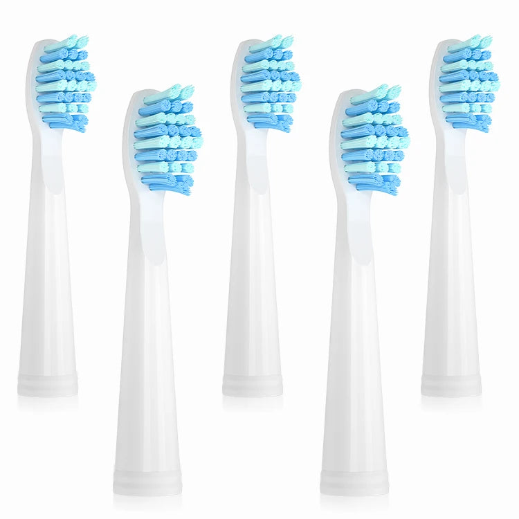 Seago 4pcs Sonic Toothbrush Heads for SG986/SG987/S2/SX/S5